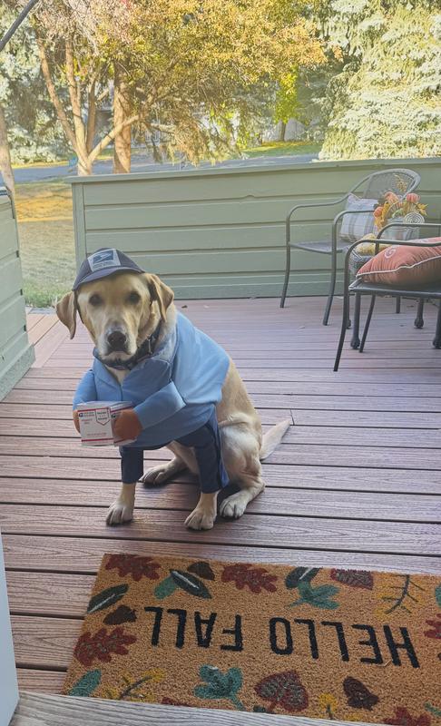 Mail Delivery, “ I work for treats”!🐶
