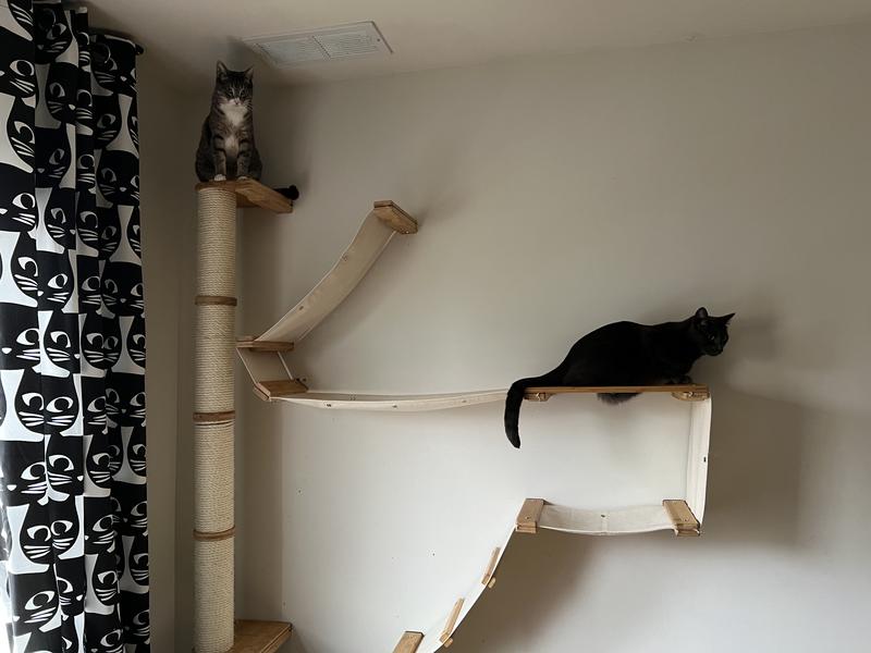 CATASTROPHICREATIONS Sisal Cat Climbing Pole, 3-tier, Onyx - Chewy.com