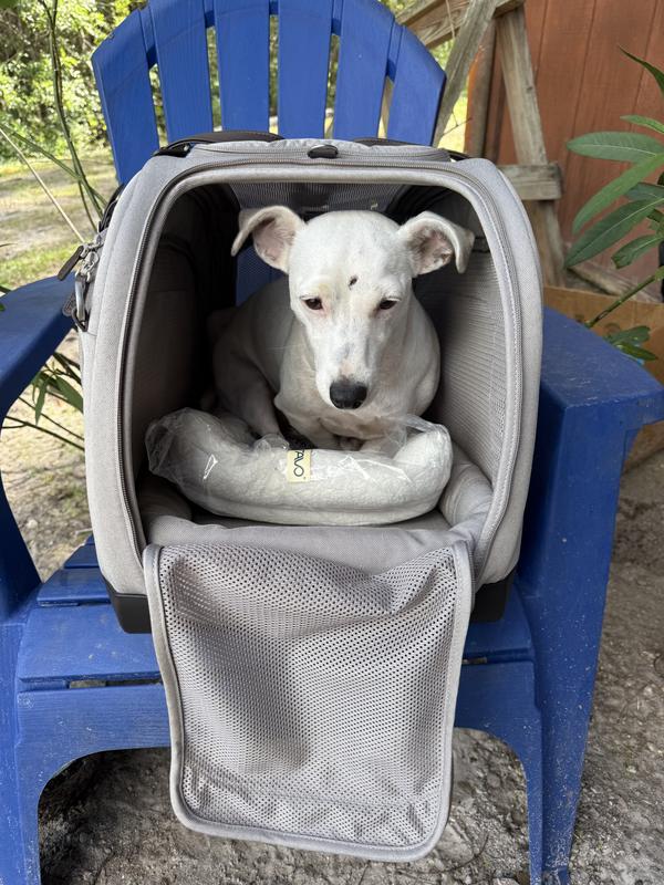 Plenty of space to stand and turn around with the plush pad inside. Honey is a 19 pound Jack Russell