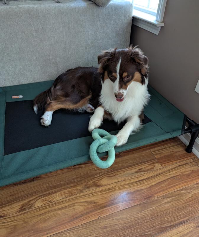 Stryker loves this thing