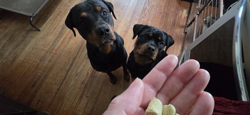 Shine Salmon and Sweet potato