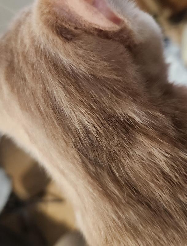 After....he still is in the middle of his treatment plan, but so much better.