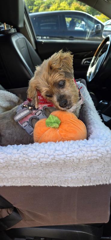 Is this goin to be my new favorite toy⁉️