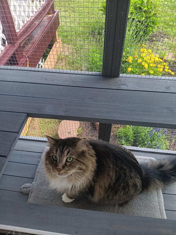 Benny checking it out