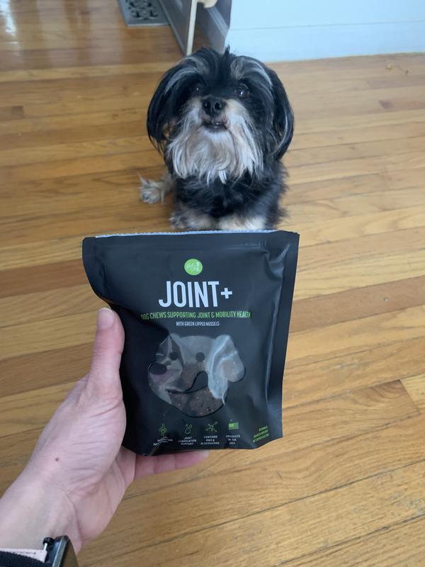 Charlie says More treats please!