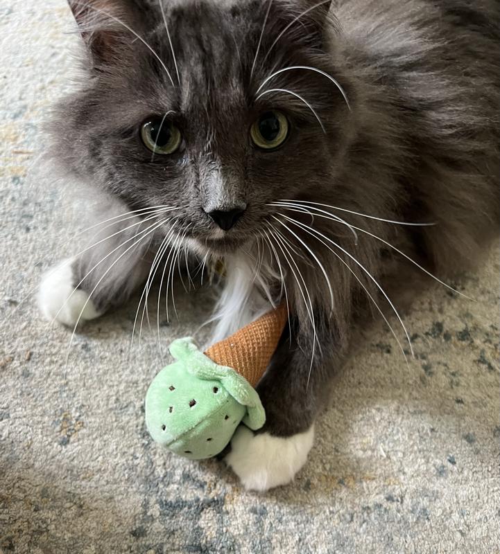 Frisco Mint Chocolate Chip Ice Cream Plush Dental Chew Cat Toy with Catnip & Catmint