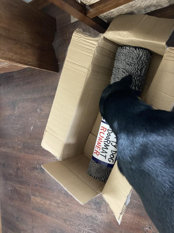 my very large labrador could have almost fit in this box
