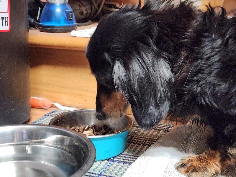 Starting the day off right!