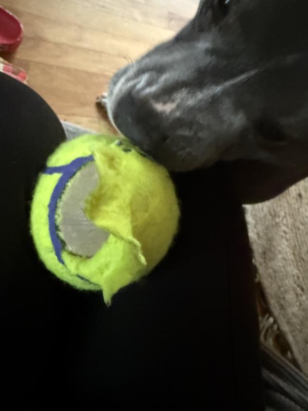 Easily ripped off the cover