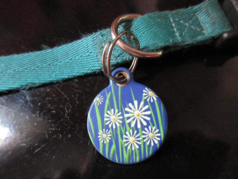 ring loose & got caught in the fence