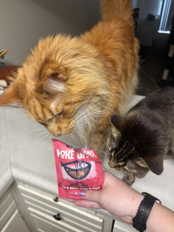 Gary sniffing the goods