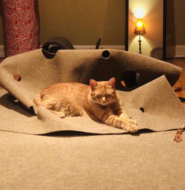 Cat Activity Play Mat - A Ripple Rug Review - Cool Stuff for Cats