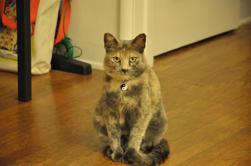 Giulia is sassy yet sweet