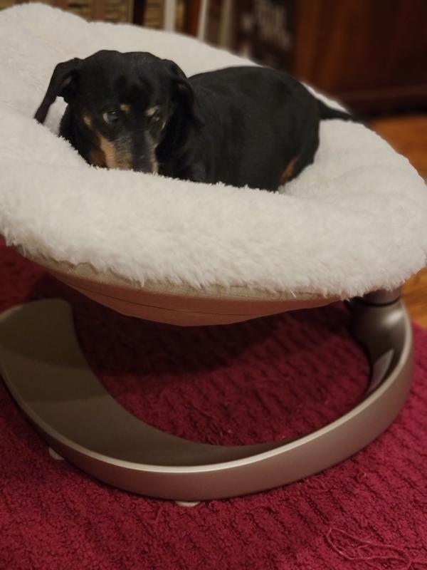 TAVO PETS Shell Swaying Lounger Dog & Cat Bed, Latte - Chewy.com