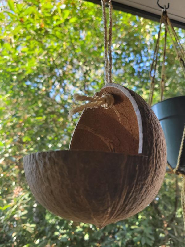 FRISCO Coconut Bird Feeder