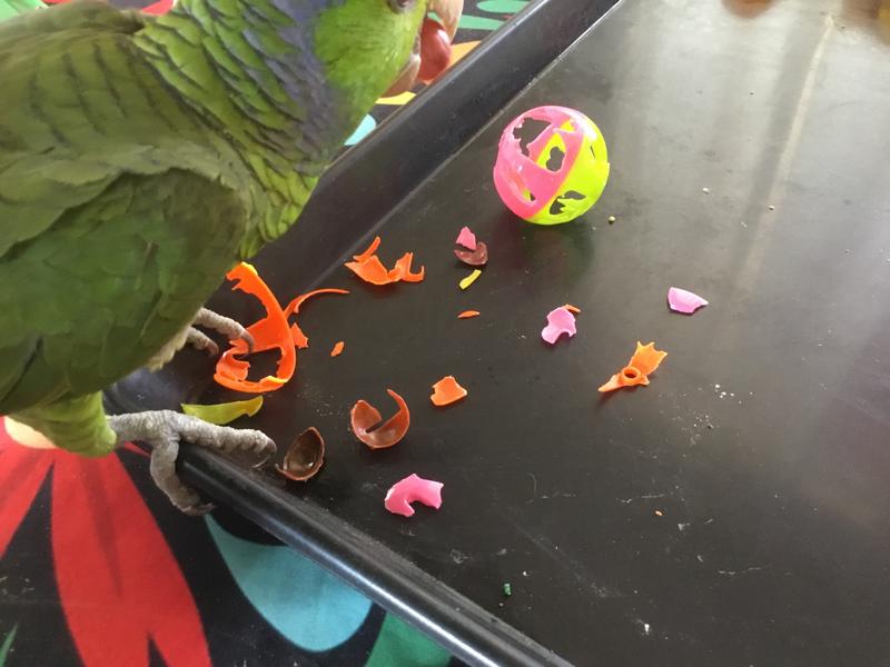 Wow... that was quick!