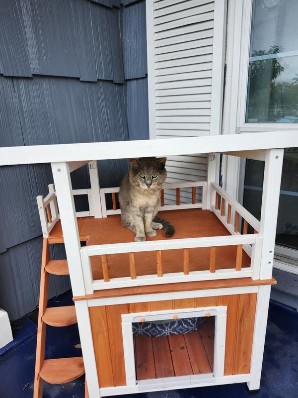Romero's new home