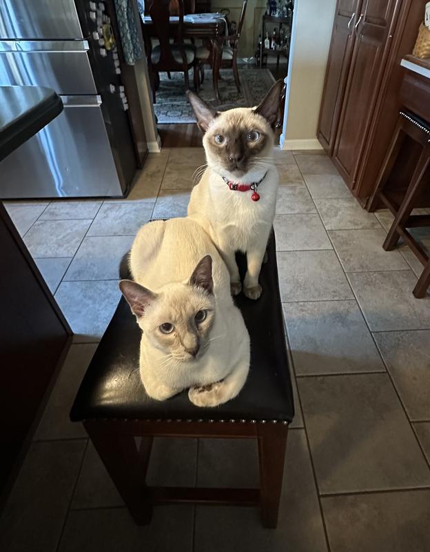 Thor and Loki, The Boys!
