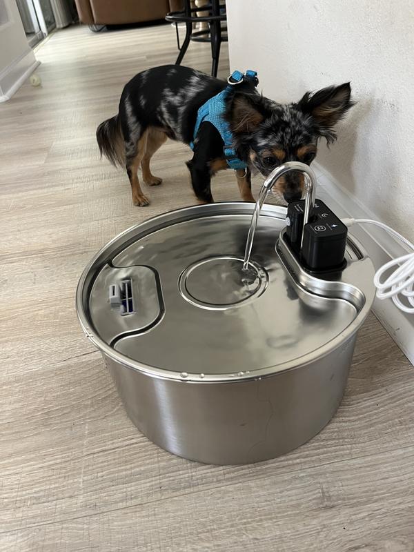 No More Empty Bowls in Our House