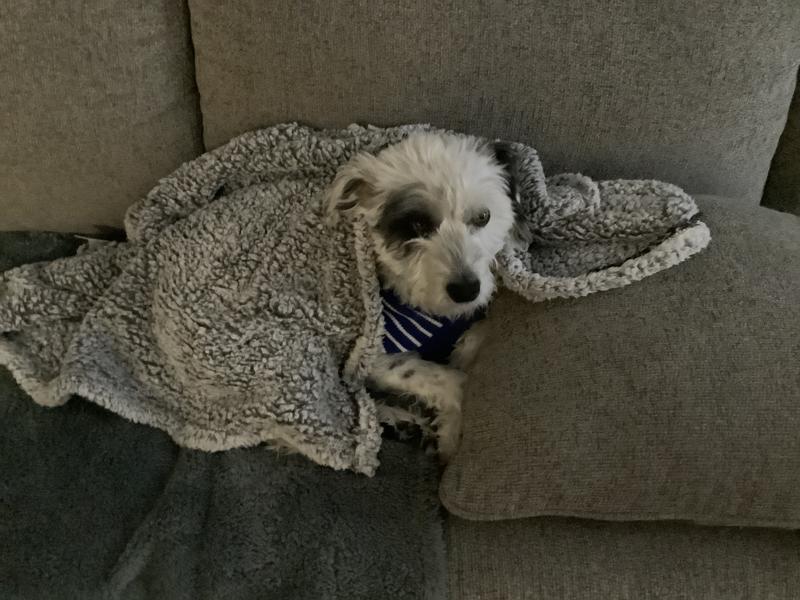 Snug as a bug in a rug!