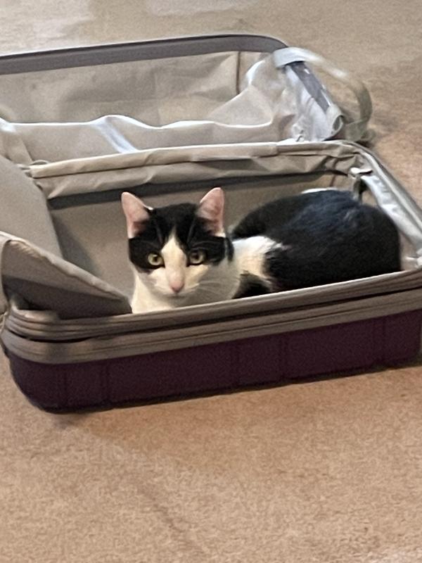 Billy ready to take a trip after brushing his teeth!
