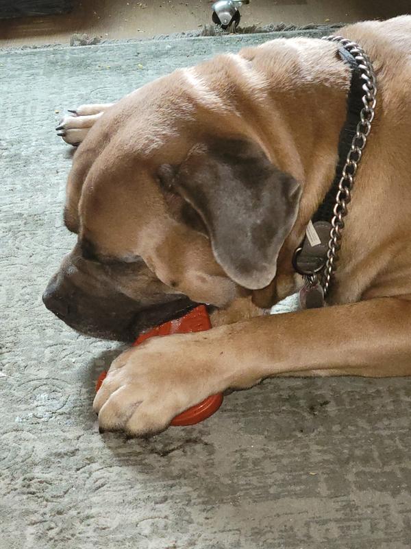 Rugar's Bullymake Nylon Steak