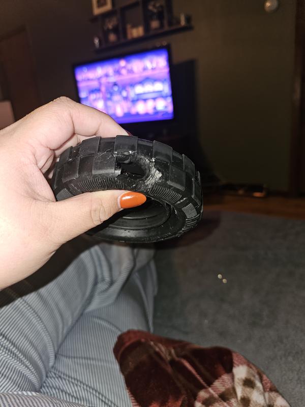 Dual purpose for Marty, a toy and a treat