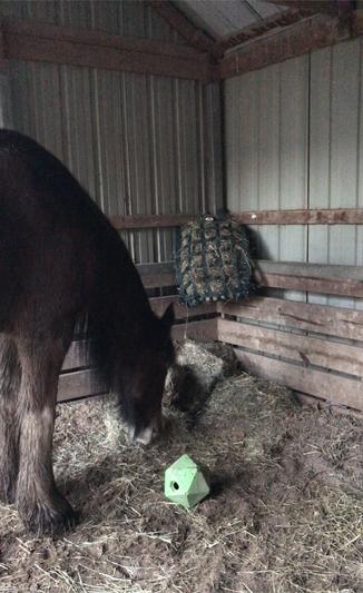 Stuffed full for the bitter cold night