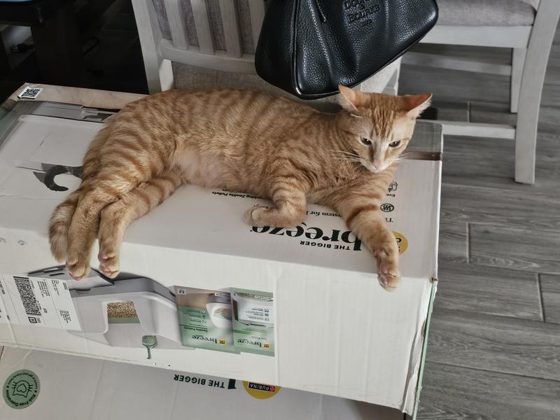 Repurpose of the box