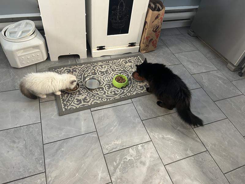 Everyone is eating healthy if not always from the correct side of the table.