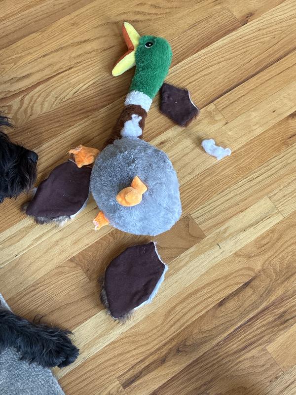 KONG Shakers Honkers Duck Large Plush Dog Toy - Low Tone Squeaker, Toss & Shake, 18 Inches