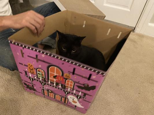 She could not even wait until it was finished being built