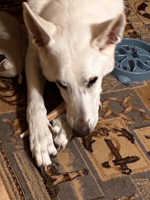 Axel is a big fan - he is a huge dog so he was watched carefully