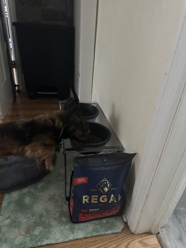 Toby likes Regal.