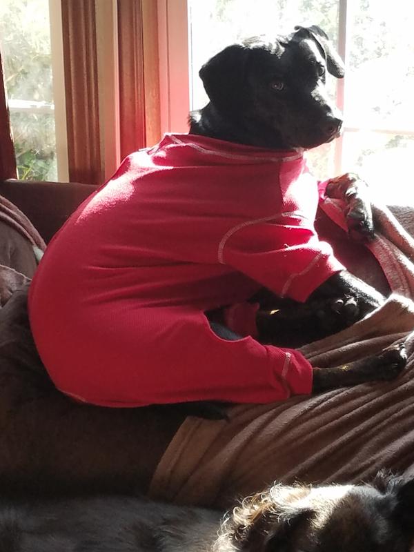 Sweet Girl was horribly abused