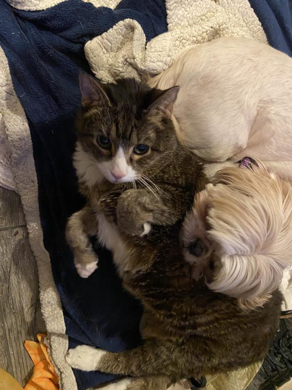 Fur baby love fest!!