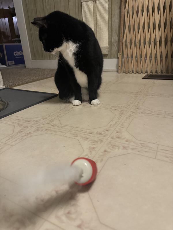 Flops over as soon as it starts spinning.