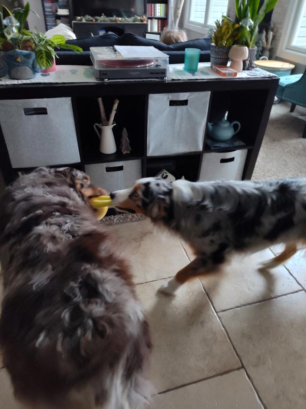 It can handle big tugs