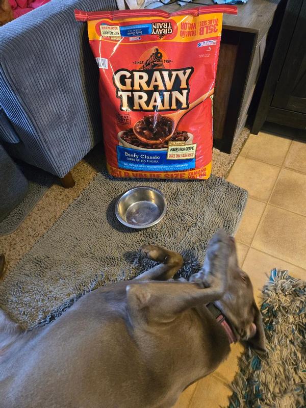 Nutrition profile: What you get when feeding Gravy Train