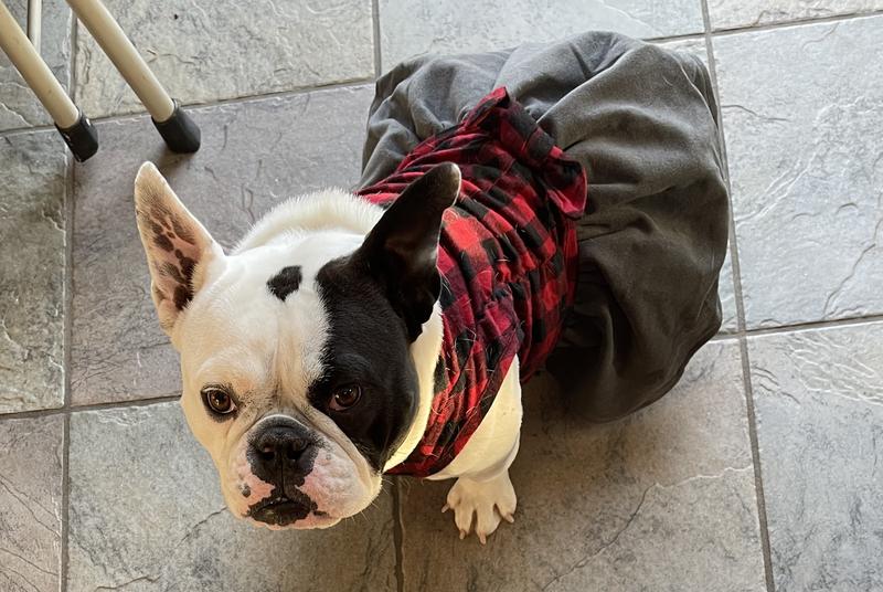 My girl Emma in her Christmas finery