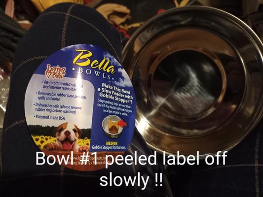 Loving Pets - Bella Bowls - Dog Food Water Bowl No Tip Stainless Steel Pet  Bowl No Skid Spill Proof (Large, Espresso Brown)