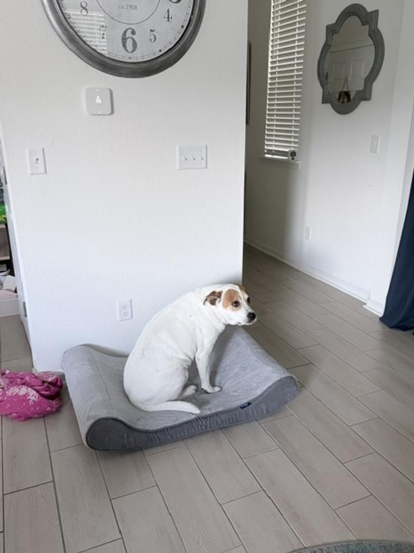 I'm not sure about this... Where's my old bed??