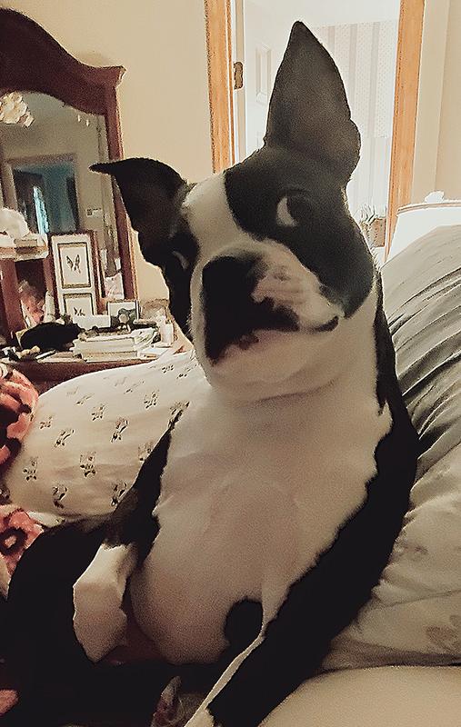 Winston loves them!!