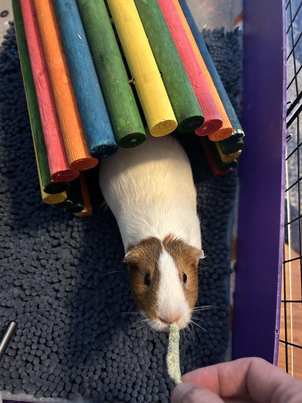 Ruby enjoyed her treat!