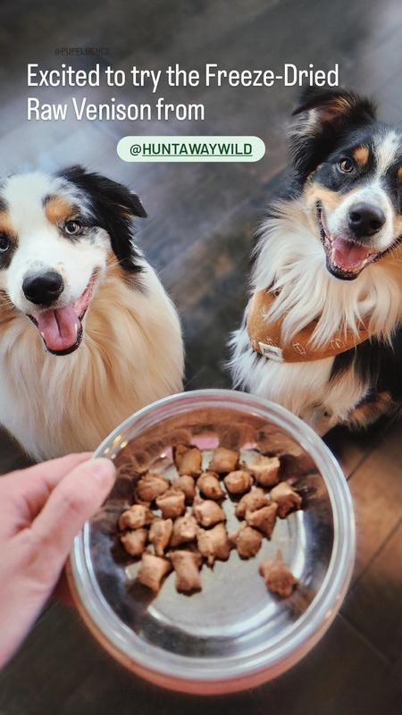 Huntaway Venison Grain-Free Freeze-Dried Dog Food, 12-oz bag