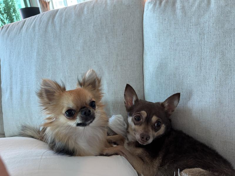 Healthy girls begin with great food