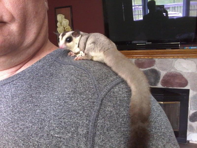 Beautiful girl, Gracie you are!