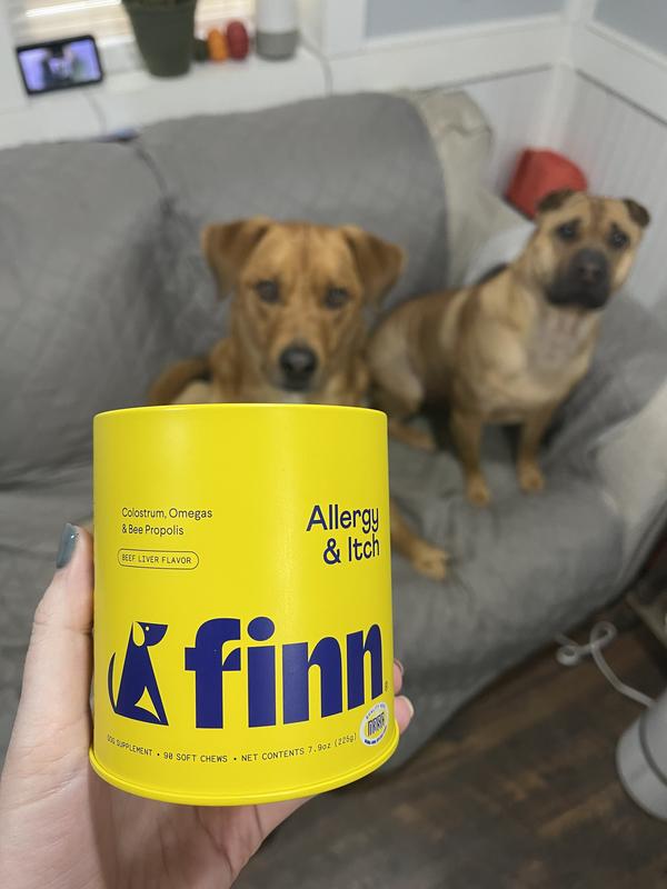 They hear the tin can and know some goodies are coming!