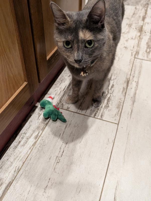 Luna checking it out!