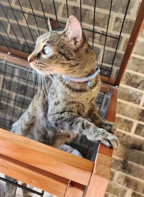 Showing top lid with screen